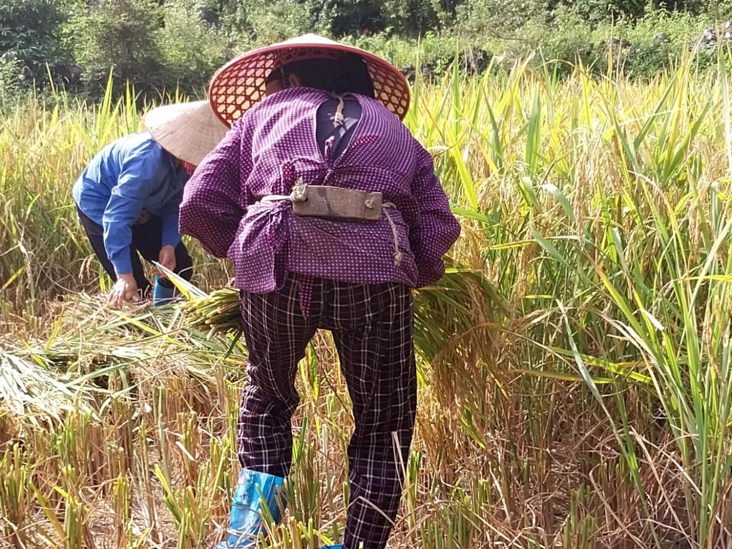 Trieu Hoan Homestay Cao Bang Buitenkant foto